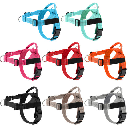 Harnais anti-traction pour chien