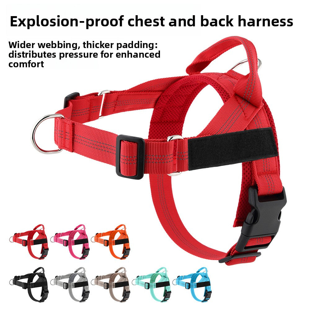 Harnais anti-traction pour chien