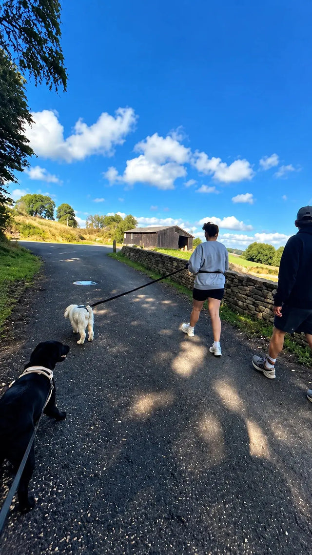 Photo de Camille D. avec son chien