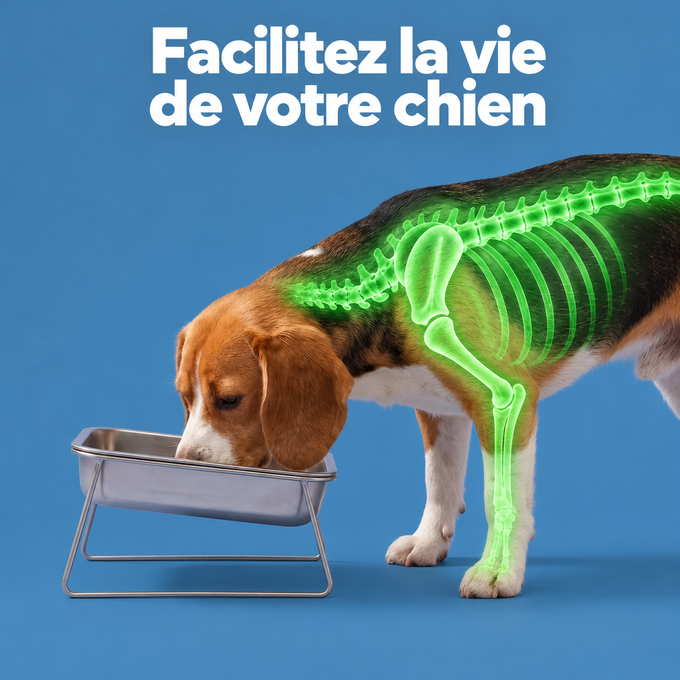 Gamelle orthopédique surélevée pour chiens moyens et grands