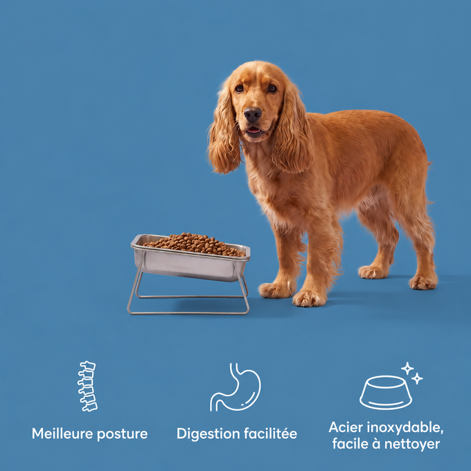 Gamelle orthopédique surélevée pour chiens moyens et grands