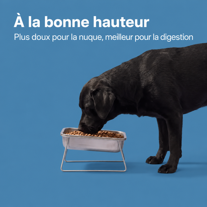 Gamelle orthopédique surélevée pour chiens moyens et grands