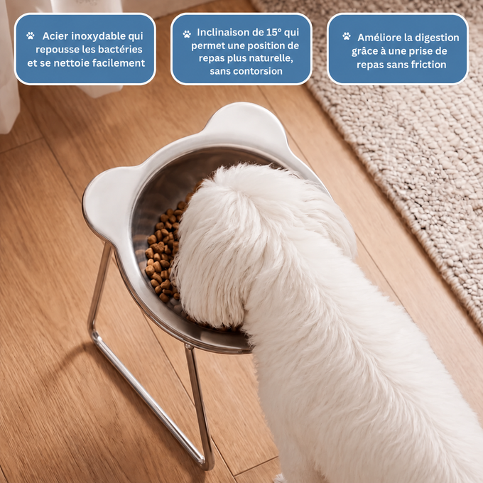 Gamelle orthopédique surélevée pour petits chiens